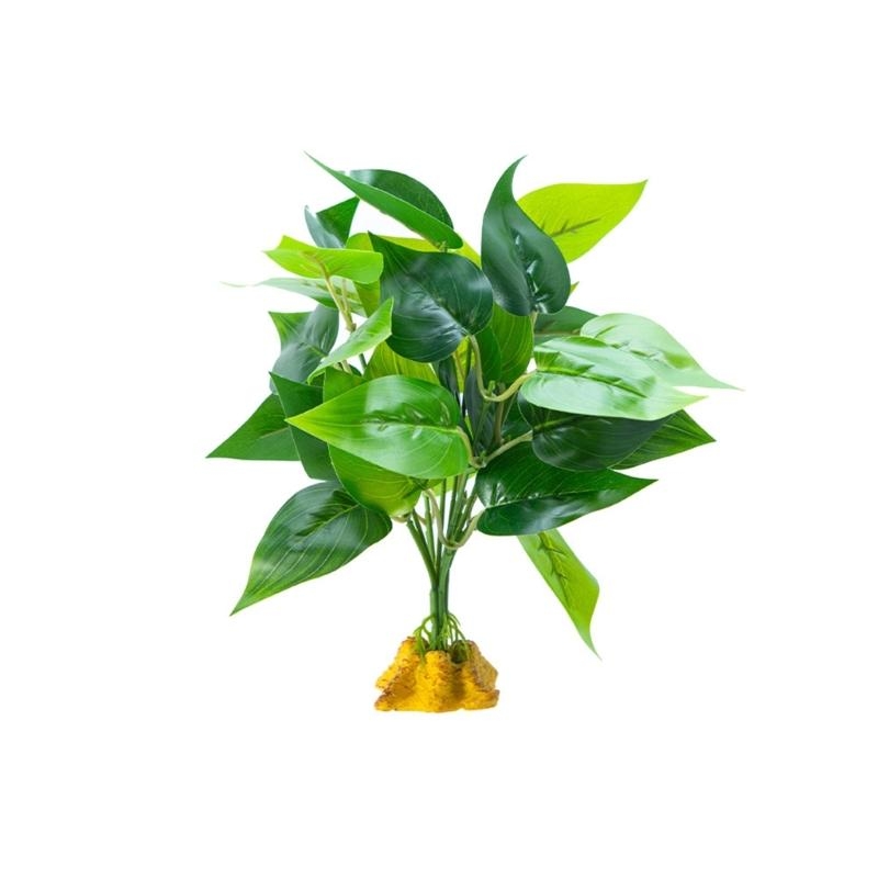Aquarium Planted Fish - Cá nhân tạo cá trồng cá
