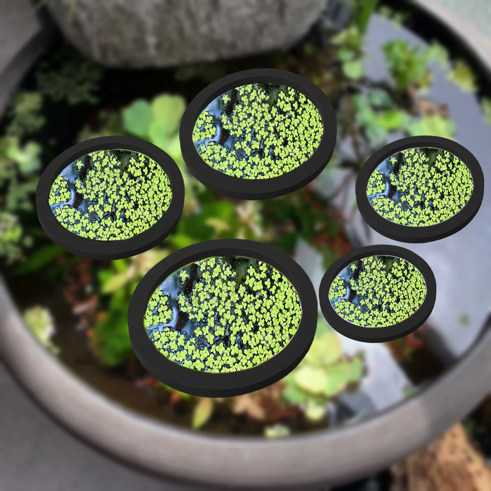 Aquarium Planted Fish - 5Pcs EVA Fish Feeding Ring Aquarium