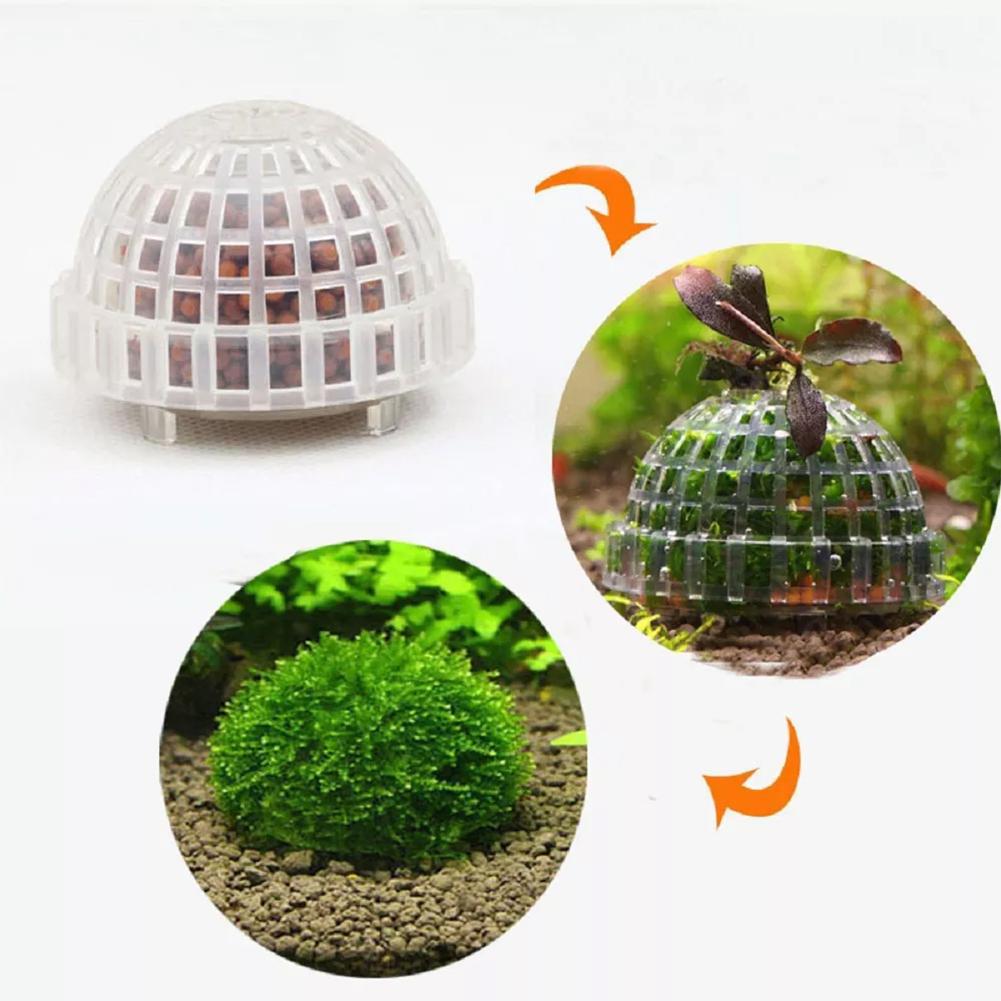 1pc Aquarium Moss Ball Holders - đánh giá và giá Planted Aquarium Models