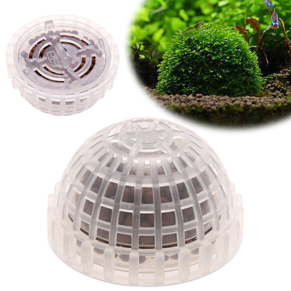 1pc Aquarium Moss Ball Holders - đánh giá và giá Planted Aquarium Models