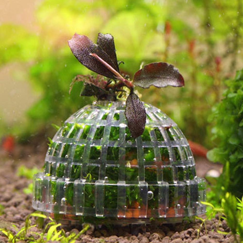 1pc Aquarium Moss Ball Holders - đánh giá và giá Planted Aquarium Models