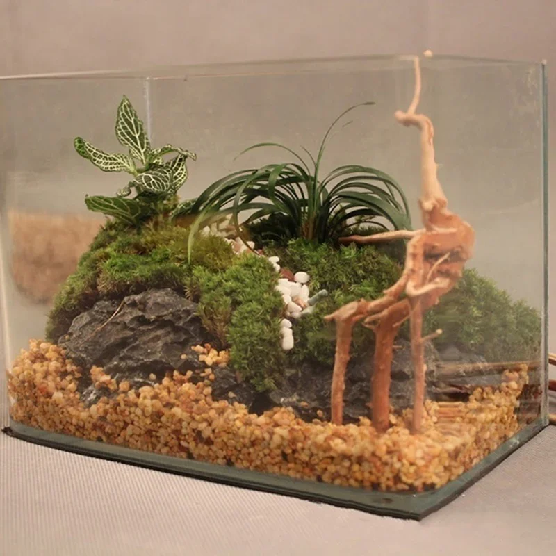 Natural Tree Trunk Driftwood A - đánh giá và giá Aquarium Plant Root Tabs