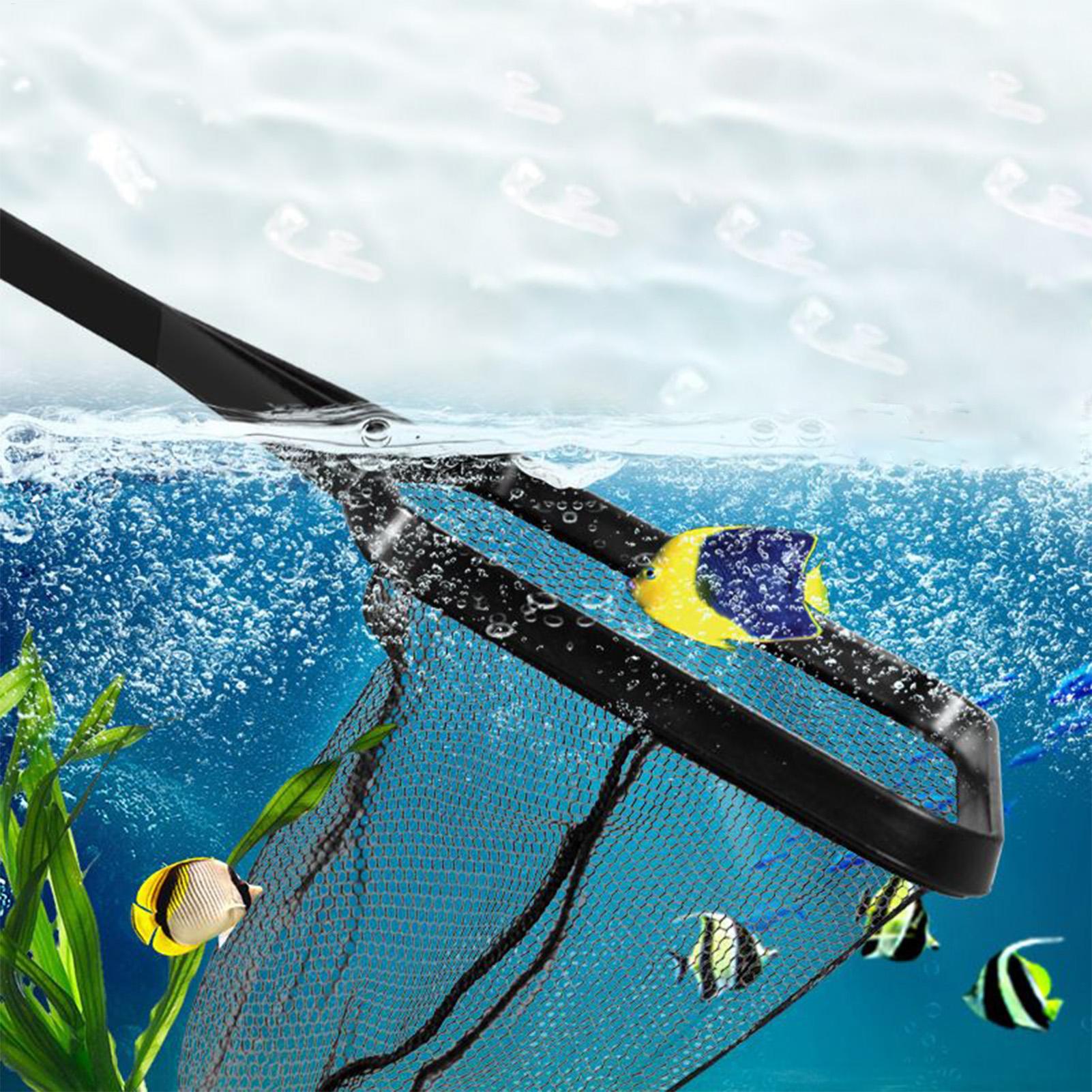 Pool Net Fish Tank Salvage Net - đánh giá và giá Planted Aquarium Cleaning