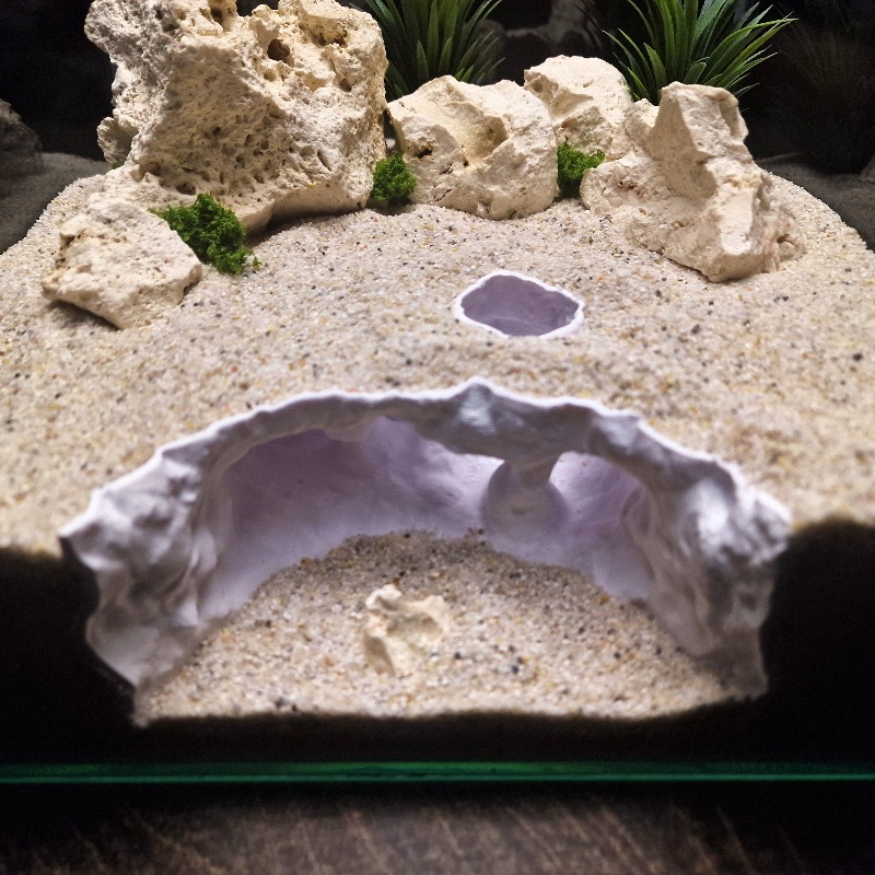 3D Printed Forked Cave Aquariu - đánh giá và giá Aquarium Plant Root Tabs
