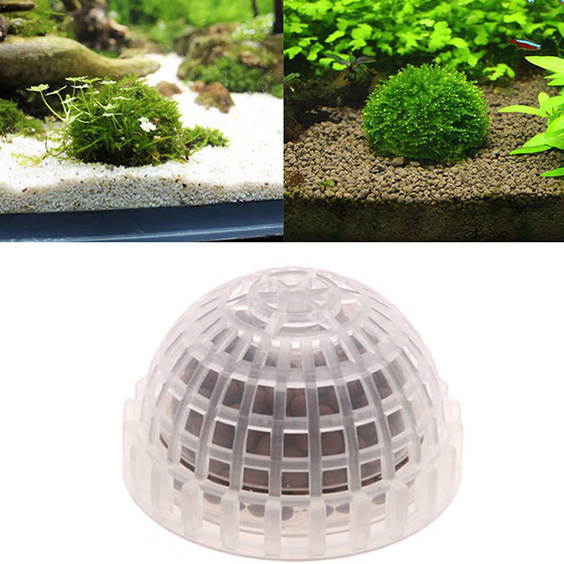 1pc Aquatic Pet Supplies Decor - đánh giá và giá Planted Aquarium Models