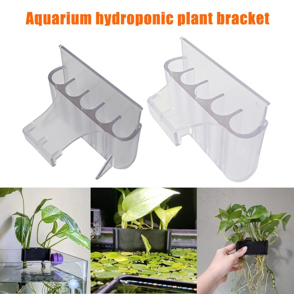 4.5/6.5cm Aquarium Plant Holde - đánh giá và giá Aquarium Planted Fish