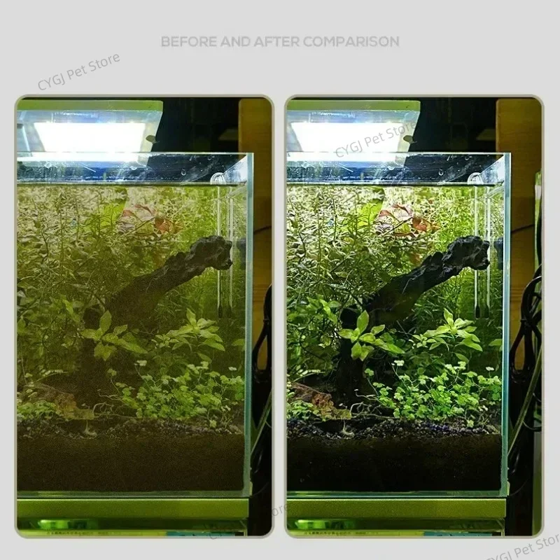 Fish Tank Cleaning Tool Flat S - đánh giá và giá Planted Aquarium Cleaning