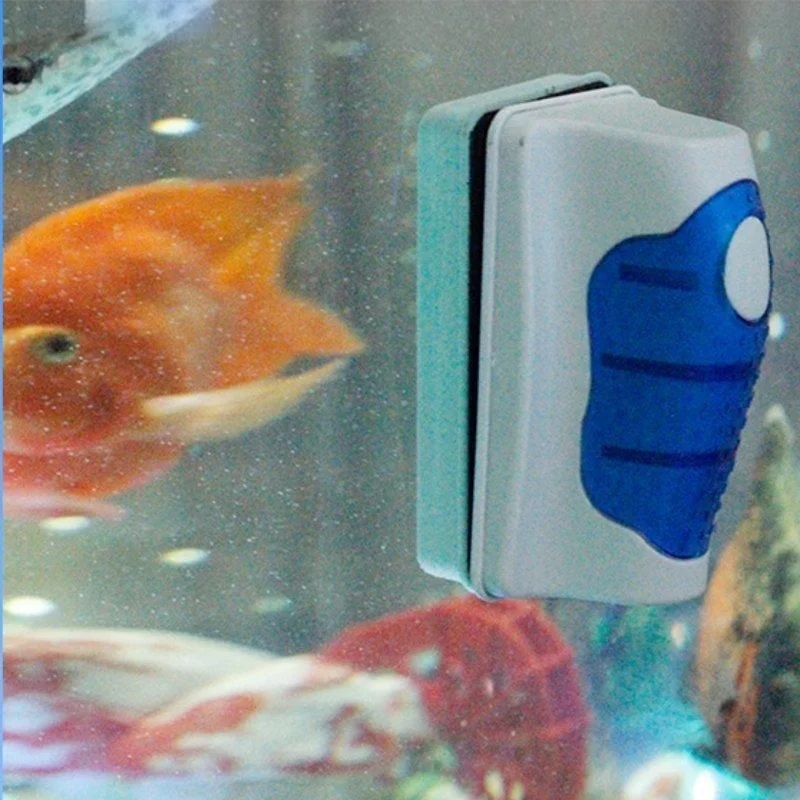 Fish Tank Glass Scraper Cleane - đánh giá và giá Planted Aquarium Cleaning