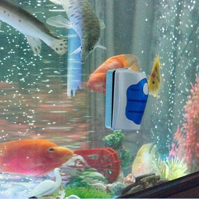 Fish Tank Glass Scraper Cleane - đánh giá và giá Planted Aquarium Cleaning