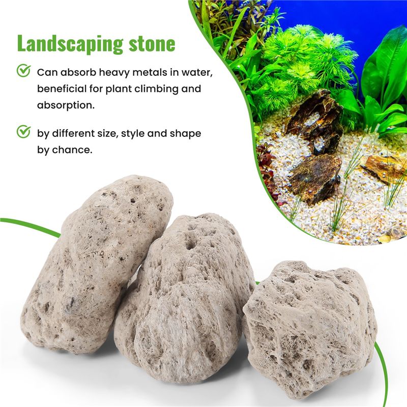A20F-3Pcs Floating Real Rocks  - đánh giá và giá Planted Aquarium Models