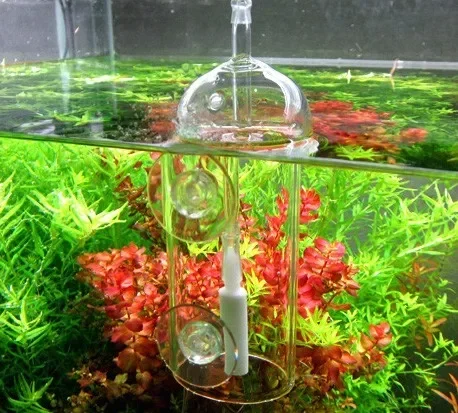 VIV Do Device Aquarium Cylinde - đánh giá và giá Planted Aquarium Parameters