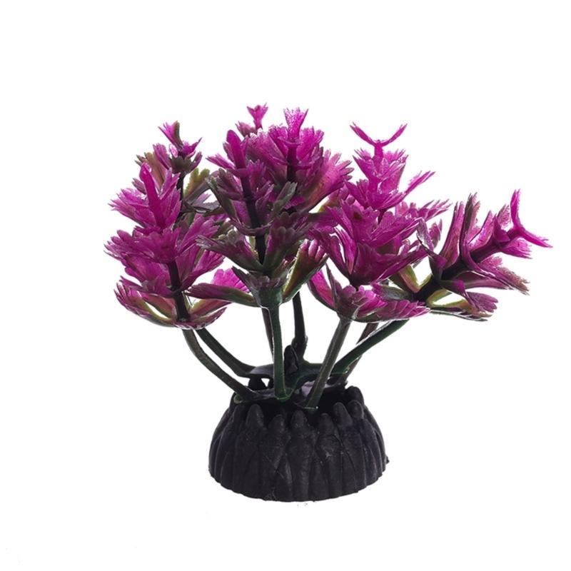 G6KF Trang trí nhà máy nước ch - đánh giá và giá Planted Aquarium Models