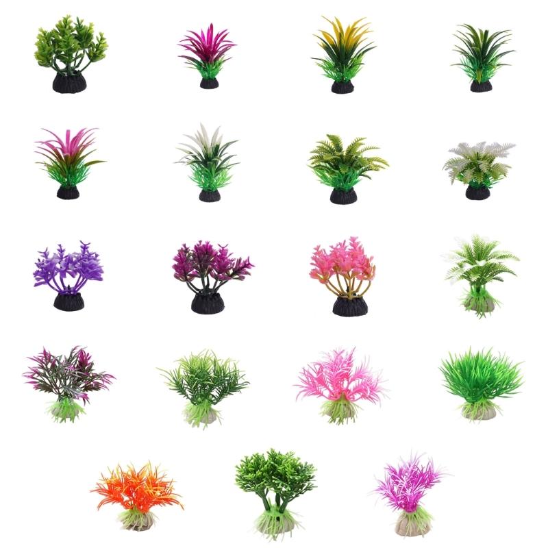 G6KF Trang trí nhà máy nước ch - đánh giá và giá Planted Aquarium Models