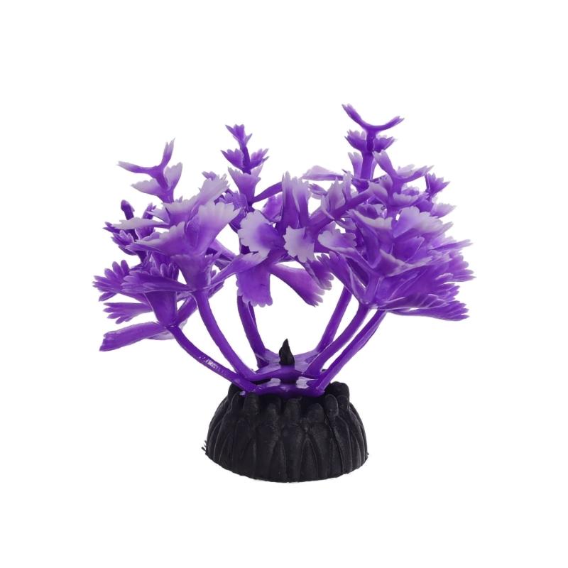 G6KF Trang trí nhà máy nước ch - đánh giá và giá Planted Aquarium Models