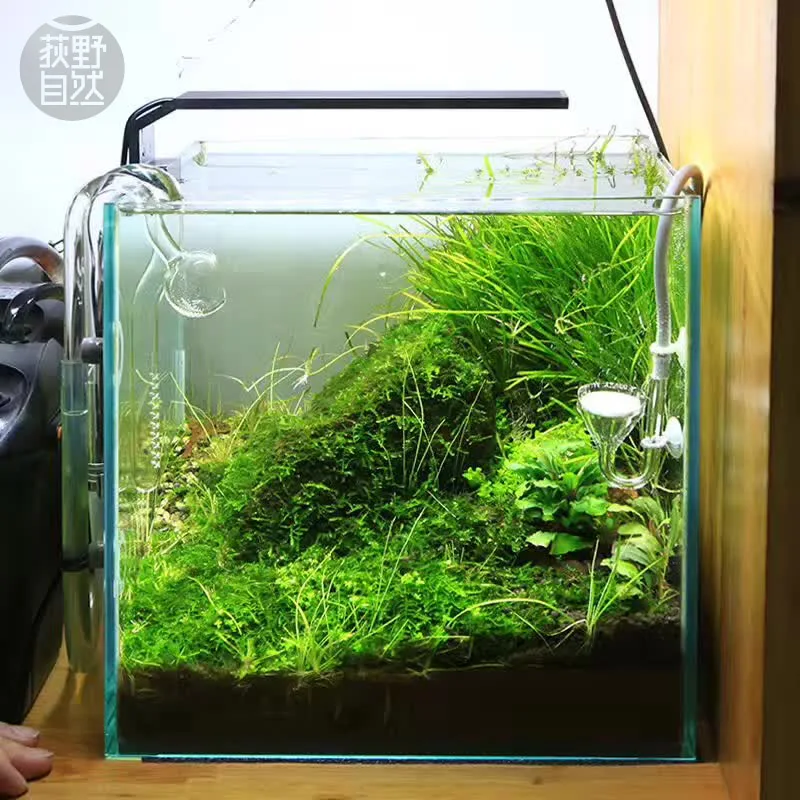 Chihiros C Series ADA Style Pl - đánh giá và giá Aquarium Plant Growing