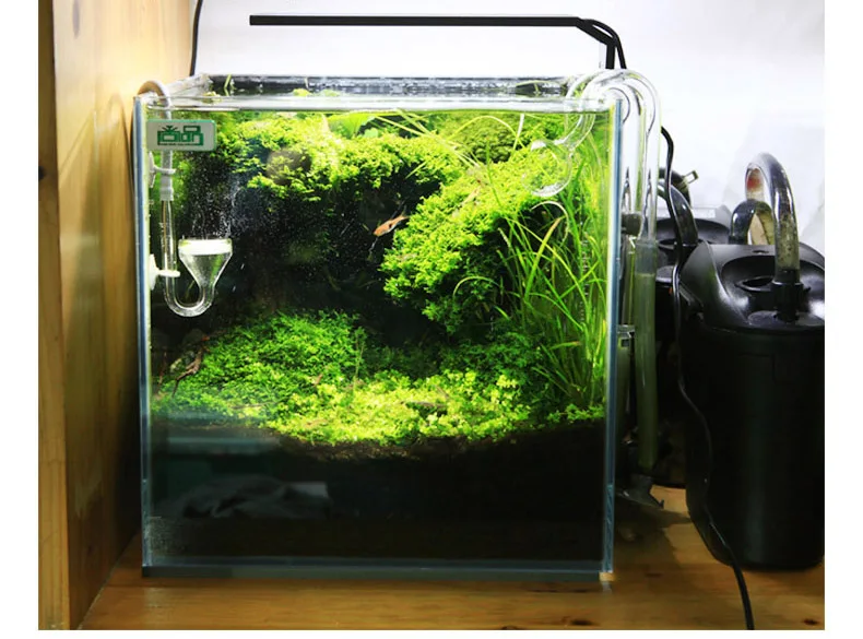 Chihiros C Series ADA Style Pl - đánh giá và giá Aquarium Plant Growing