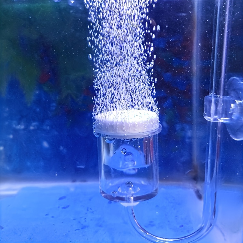 Aquarium Glass CO2 Atomizer Di - đánh giá và giá Planted Aquarium Parameters