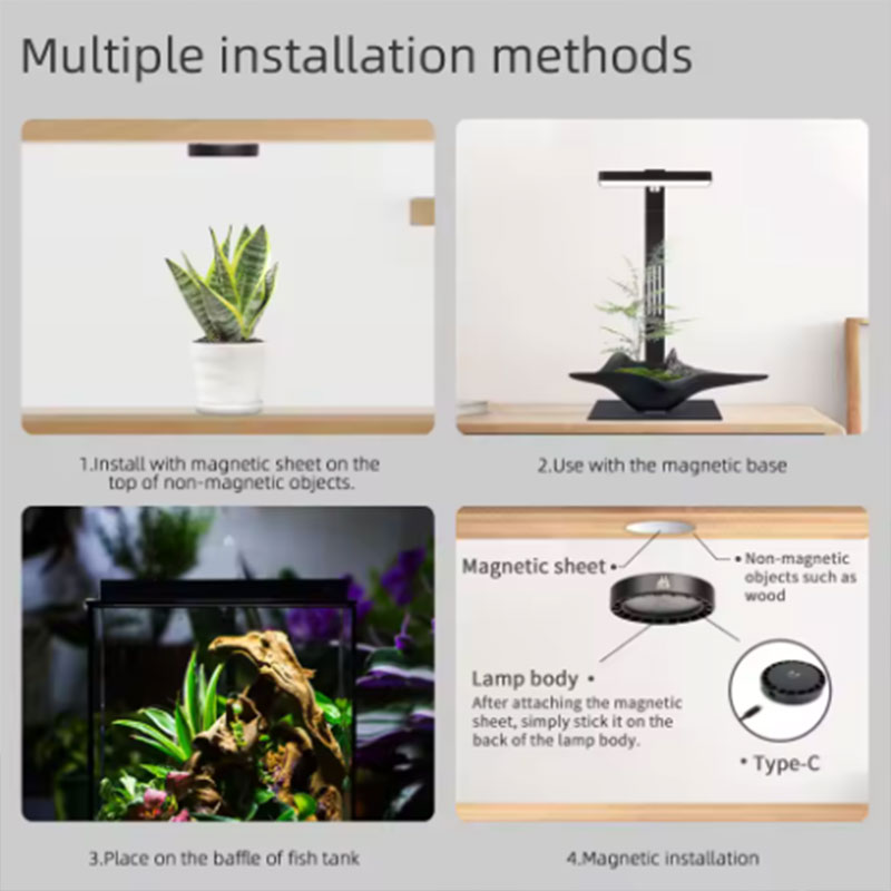 Sunsun Hộp Thay Thế Lõi Lọc Nư - đánh giá và giá Aquarium Plant Growing