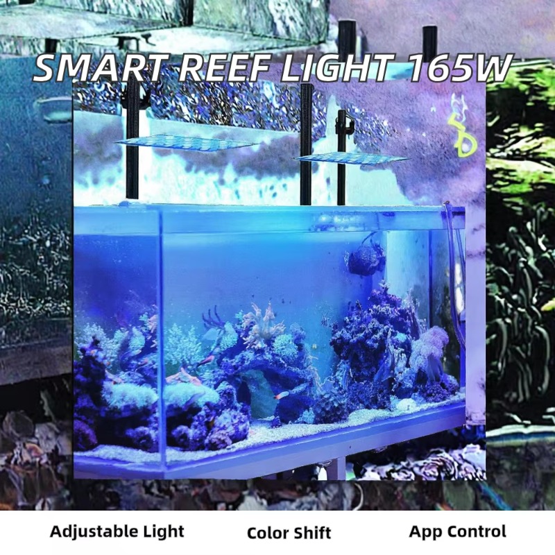 165W Dimmable WiFi APP Control - đánh giá và giá Planted Aquarium Models