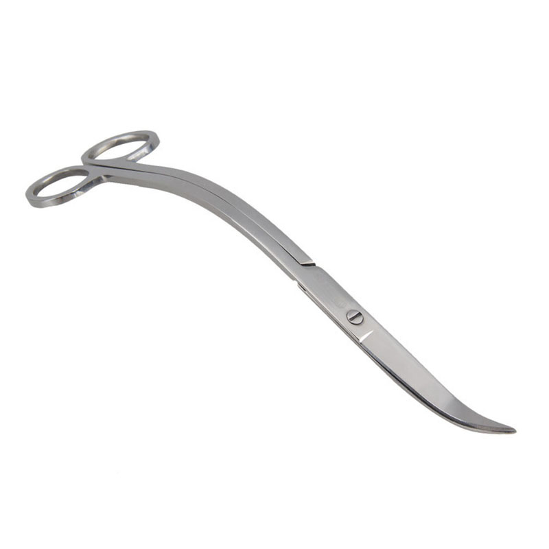 Aquarium Scissor Tools Fish Ta - đánh giá và giá Aquarium Plant Grass
