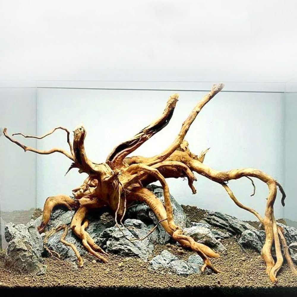 Natural Tree Trunk Aquarium De - đánh giá và giá Aquarium Plant Root Tabs