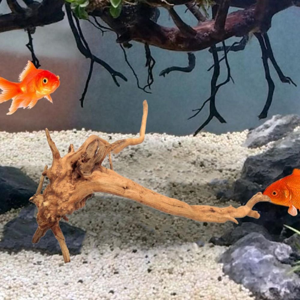 Natural Tree Trunk Aquarium De - đánh giá và giá Aquarium Plant Root Tabs