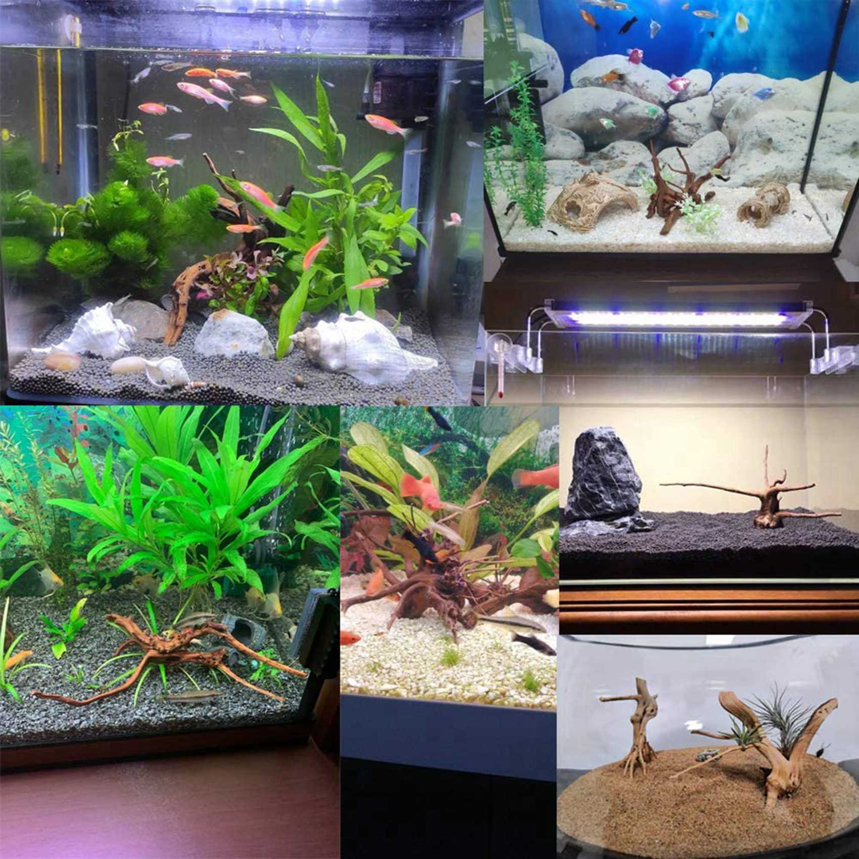 Hot Sale-Mini Driftwood For Aq - đánh giá và giá Aquarium Plant Root Tabs