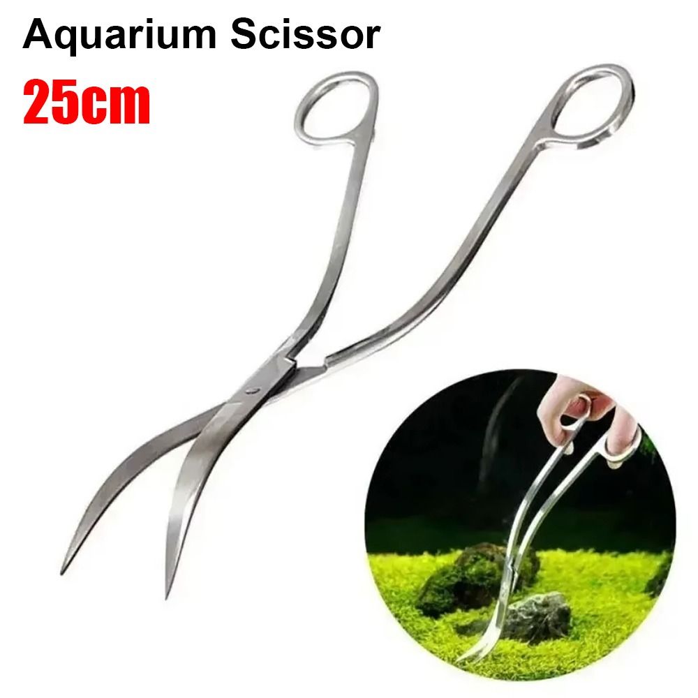 1Pcs Stainless Steel Aquarium  - đánh giá và giá Aquarium Plant Grass