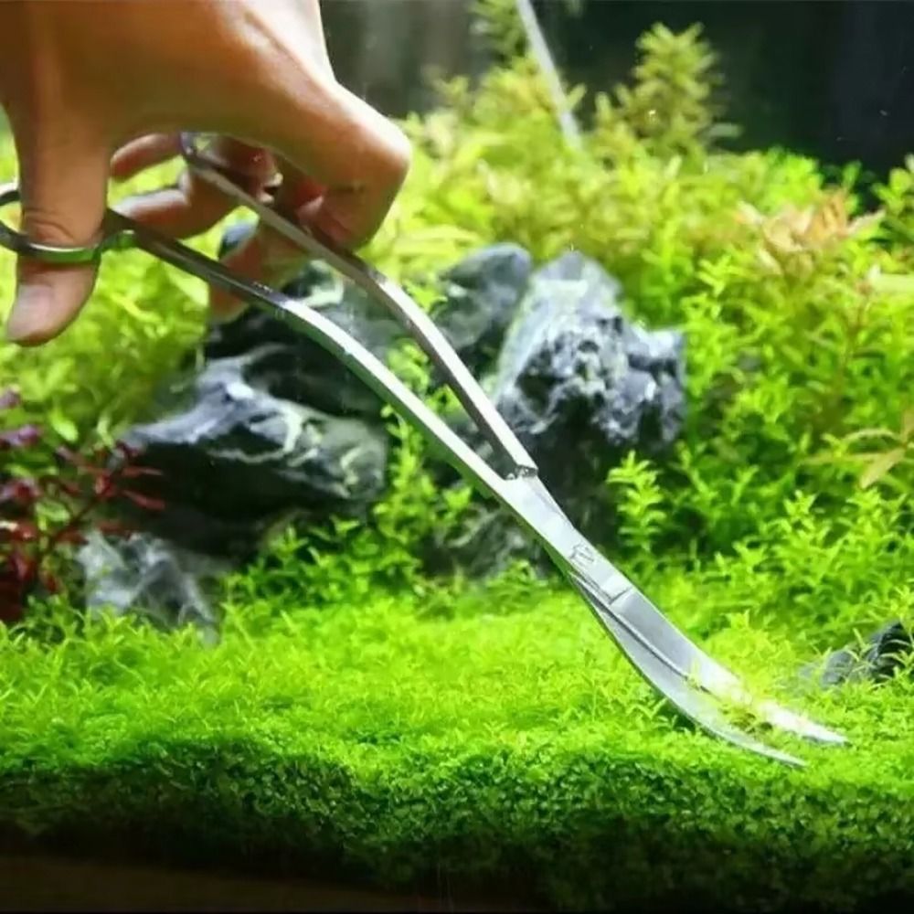 1Pcs Stainless Steel Aquarium  - đánh giá và giá Aquarium Plant Grass