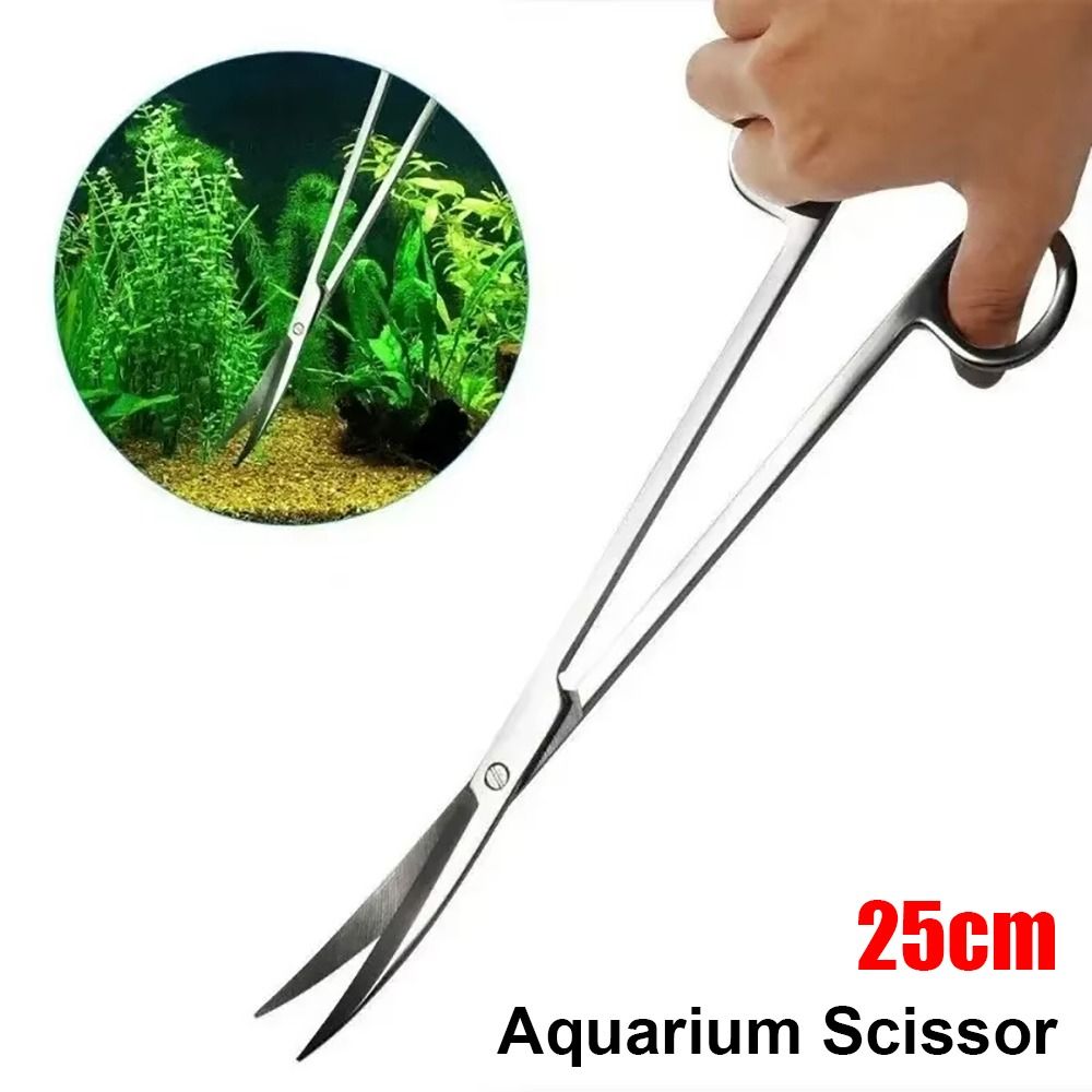 1Pcs Stainless Steel Aquarium  - đánh giá và giá Aquarium Plant Grass