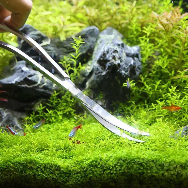 Aquarium Scissor Tools Fish Ta - đánh giá và giá Aquarium Plant Grass