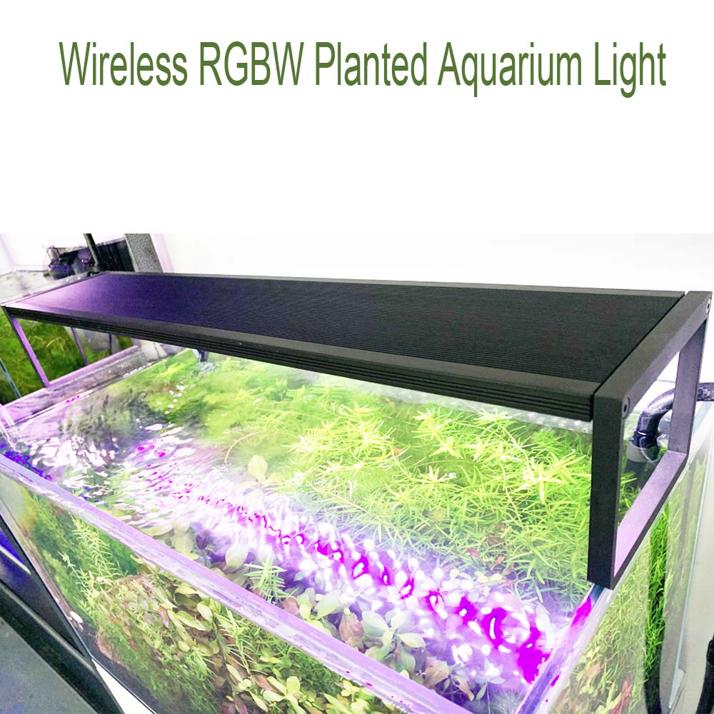 LED Aquarium Planted light Ext - đánh giá và giá Aquarium Plant Grass