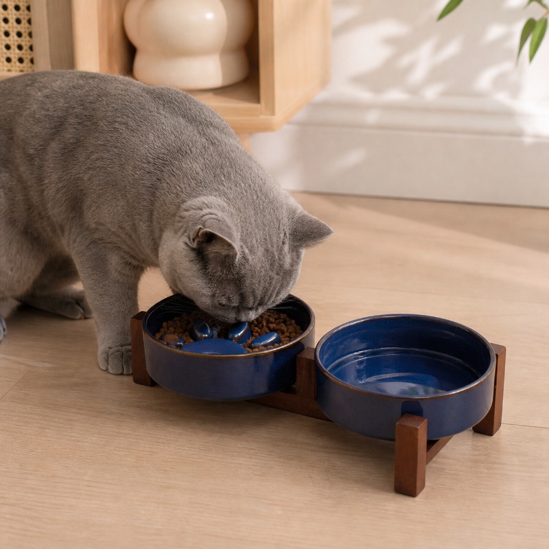 Japanese-style kiln ceramic pe - đánh giá và giá Royal Canin Food Medium