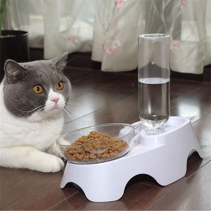1PC Double Dog Cat Bowls Pets  - đánh giá và giá Royal Canin Food Medium