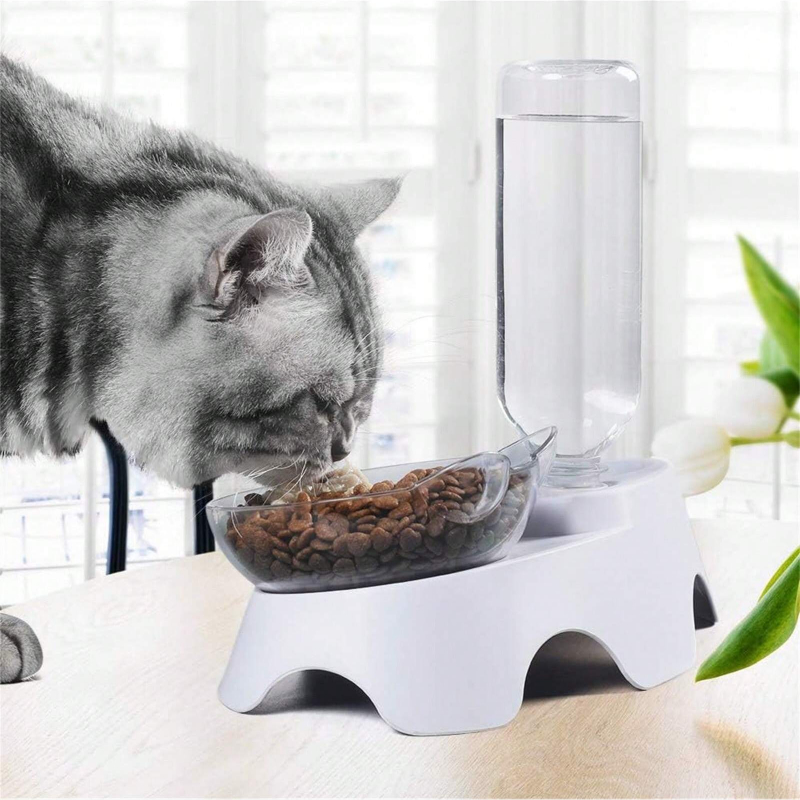 1PC Double Dog Cat Bowls Pets  - đánh giá và giá Royal Canin Food Medium