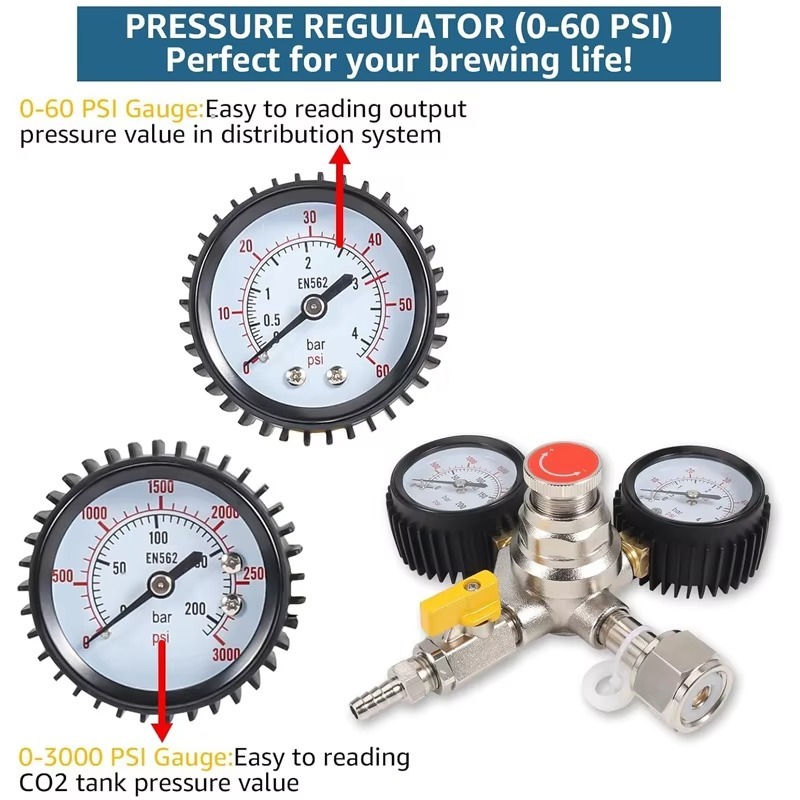 CO2 Regulator Draft Beer Regul - đánh giá và giá Co2 Regulator Dual Stage