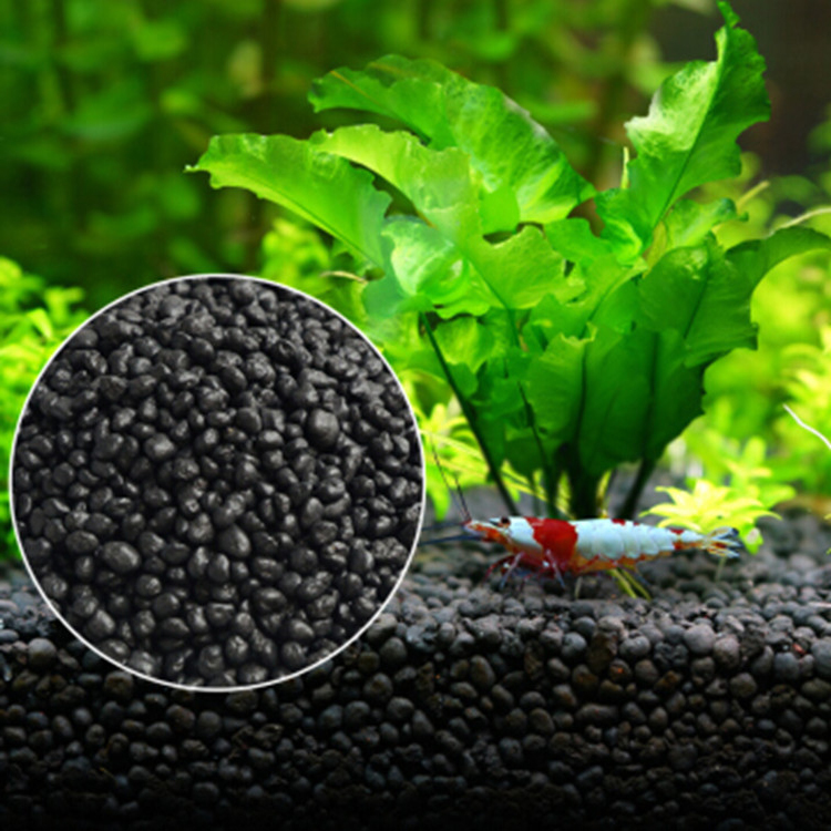Bể Cá Cảnh Vật Có Hạt Đất Fish - đánh giá và giá Aquarium Planted Fish