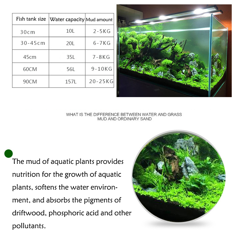 Bể Cá Cảnh Vật Có Hạt Đất Fish - đánh giá và giá Aquarium Planted Fish