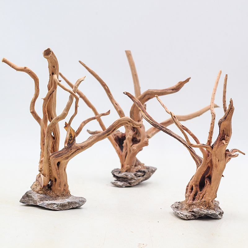 1 Bể Cá Cảnh Quan Gỗ Đồ Trang  - đánh giá và giá Aquarium Plant Root Tabs