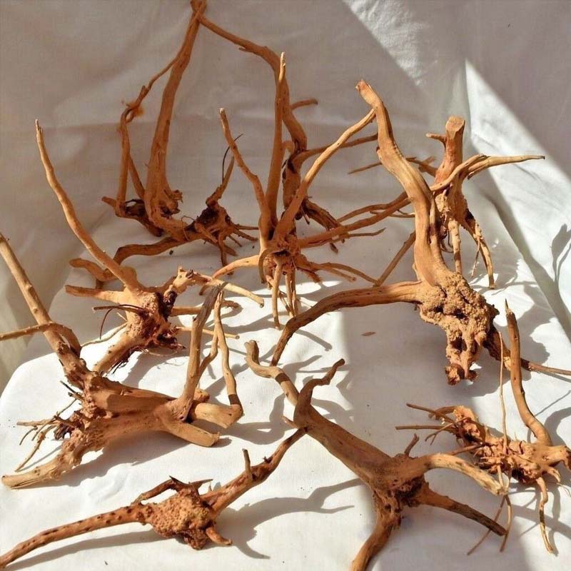 1PC Driftwood for Aquarium,Nat - đánh giá và giá Aquarium Plant Root Tabs