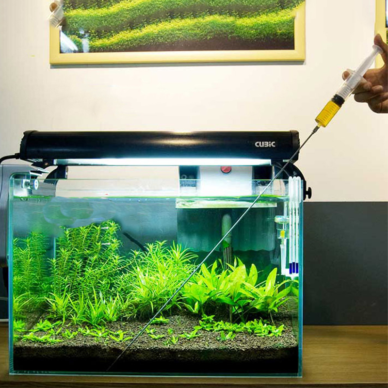 30Cm 50Cm Bể Cá Thực Vật Sinh  - đánh giá và giá Aquarium Plant Grass