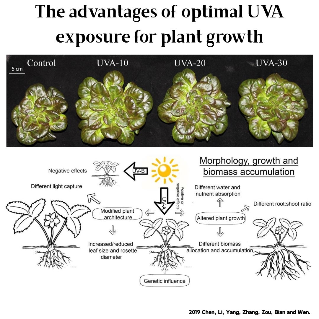 Week Aqua M Series RGB+UV Wate - đánh giá và giá Aquarium Plant Growing