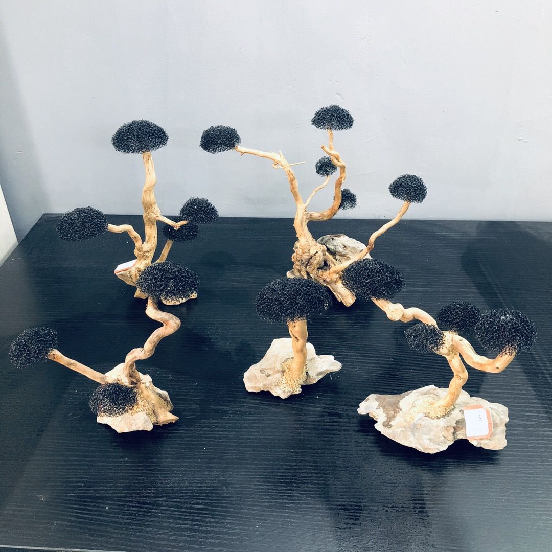 Bể Cá Cảnh Rêu Cây Gỗ Trôi Cá  - đánh giá và giá Aquarium Plant Root Tabs
