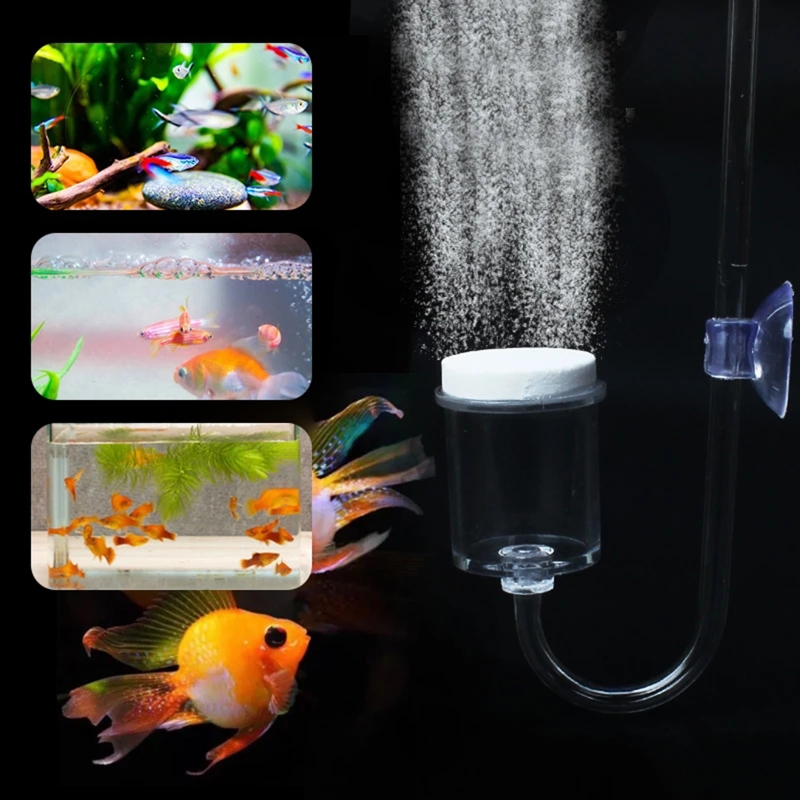 4pcs Set DIY CO2 Diffuser For  - đánh giá và giá Aquarium Plant Growing